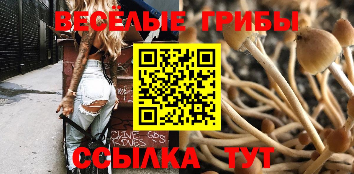 Псилоцибиновые грибы Psilocybine cubensis  Вход с VPN  Спасск-Дальний 