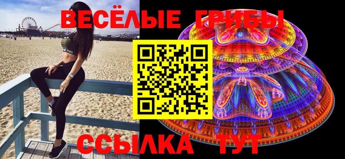 Псилоцибиновые грибы прущие грибы Спасск-Дальний